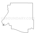 Census Tract 4505, Douglas County, Minnesota (Light Gray Border)