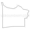 Census Tract 701.04, Washington County, Minnesota (Light Gray Border)