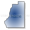 Census Tract 501.11, Anoka County, Minnesota (Radial Fill with Shadow)