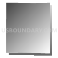 Census Tract 510.01, Anoka County, Minnesota (Gray Gradient Fill with Shadow)