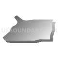 Census Tract 606.05, Dakota County, Minnesota (Gray Gradient Fill with Shadow)