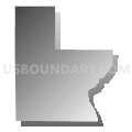 Census Tract 501.10, Anoka County, Minnesota (Gray Gradient Fill with Shadow)