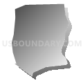 Census Tract 605.07, Dakota County, Minnesota (Gray Gradient Fill with Shadow)