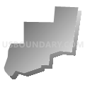Census Tract 605.03, Dakota County, Minnesota (Gray Gradient Fill with Shadow)