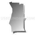 Census Tract 605.06, Dakota County, Minnesota (Gray Gradient Fill with Shadow)
