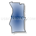 Census Tract 605.06, Dakota County, Minnesota (Radial Fill with Shadow)