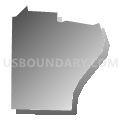 Census Tract 508.21, Anoka County, Minnesota (Gray Gradient Fill with Shadow)
