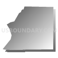Census Tract 508.19, Anoka County, Minnesota (Gray Gradient Fill with Shadow)