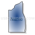 Census Tract 607.39, Dakota County, Minnesota (Radial Fill with Shadow)