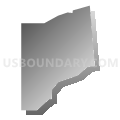 Census Tract 607.09, Dakota County, Minnesota (Gray Gradient Fill with Shadow)