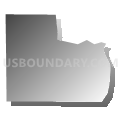 Census Tract 607.31, Dakota County, Minnesota (Gray Gradient Fill with Shadow)