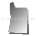 Census Tract 512.01, Anoka County, Minnesota (Gray Gradient Fill with Shadow)