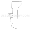 Census Tract 9505, Henry County, Missouri (Light Gray Border)