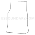 Census Tract 2173, St. Louis County, Missouri (Light Gray Border)