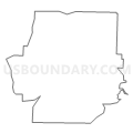 Census Tract 205.02, Newton County, Missouri (Light Gray Border)