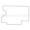 Census Tract 204, Christian County, Missouri (Light Gray Border)