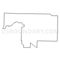 Census Tract 115, Jasper County, Missouri (Light Gray Border)