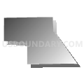 Census Tract 29, Douglas County, Nebraska (Gray Gradient Fill with Shadow)