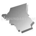 Census Tract 605, Iredell County, North Carolina (Gray Gradient Fill with Shadow)