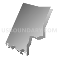 Census Tract 1.01, Wayne County, North Carolina (Gray Gradient Fill with Shadow)