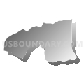 Census Tract 3.03, Wayne County, North Carolina (Gray Gradient Fill with Shadow)