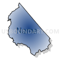 Census Tract 9601, Transylvania County, North Carolina (Radial Fill with Shadow)