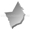 Census Tract 206.02, Brunswick County, North Carolina (Gray Gradient Fill with Shadow)