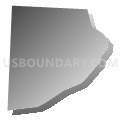 Census Tract 316.01, Randolph County, North Carolina (Gray Gradient Fill with Shadow)