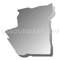 Census Tract 250.01, Hamilton County, Ohio (Gray Gradient Fill with Shadow)