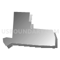Census Tract 218.02, Hamilton County, Ohio (Gray Gradient Fill with Shadow)