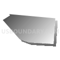 Census Tract 219, Hamilton County, Ohio (Gray Gradient Fill with Shadow)