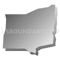 Census Tract 216.03, Hamilton County, Ohio (Gray Gradient Fill with Shadow)