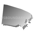 Census Tract 9513, Brown County, Ohio (Gray Gradient Fill with Shadow)