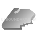 Census Tract 3, Washington County, Oklahoma (Gray Gradient Fill with Shadow)