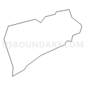 Census Tract 4751.01, Allegheny County, Pennsylvania (Light Gray Border)