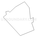 Census Tract 4020, Allegheny County, Pennsylvania (Light Gray Border)