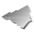 Census Tract 4084, Delaware County, Pennsylvania (Gray Gradient Fill with Shadow)