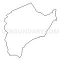 Census Tract 306, Adams County, Pennsylvania (Light Gray Border)