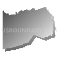 Census Tract 7310, Washington County, Pennsylvania (Gray Gradient Fill with Shadow)