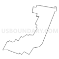 Census Tract 1009, Blair County, Pennsylvania (Light Gray Border)