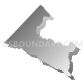 Census Tract 118, Orangeburg County, South Carolina (Gray Gradient Fill with Shadow)