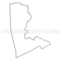 Census Tract 1309, Johnson County, Texas (Light Gray Border)