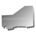 Census Tract 9800, El Paso County, Texas (Gray Gradient Fill with Shadow)