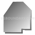 Census Tract 25, El Paso County, Texas (Gray Gradient Fill with Shadow)