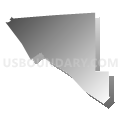 Census Tract 105.02, El Paso County, Texas (Gray Gradient Fill with Shadow)