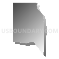 Census Tract 102.20, El Paso County, Texas (Gray Gradient Fill with Shadow)