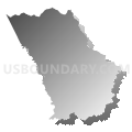 Census Tract 107, Buchanan County, Virginia (Gray Gradient Fill with Shadow)