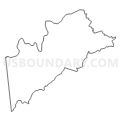 Census Tract 305, Roanoke County, Virginia (Light Gray Border)