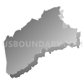 Census Tract 306, Roanoke County, Virginia (Gray Gradient Fill with Shadow)