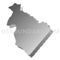 Census Tract 204.03, Spotsylvania County, Virginia (Gray Gradient Fill with Shadow)